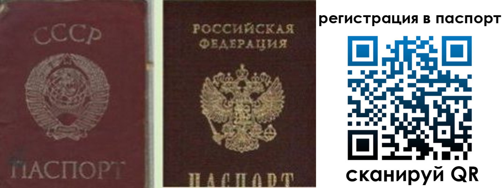 прописка для работы в Солнечногорске